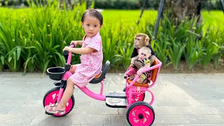 Download Diem took monkey Kaka and Monkey Mit for a walk which was so much fun MP3