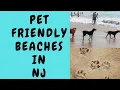 Pet Friendly NJ Beaches Enjoy the shore with pets
