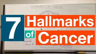 Hallmarks of Cancer | Pathophysiology