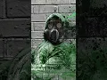 Download Lagu sza - kill bill (#tiktok  remix) #shorts #viral #fyp