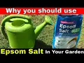 Why You Should use Epsom Salt in your garden and how