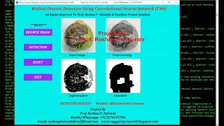 Python OpenCV Keras Project on Walnut Disease Detection Using CNN with Source Code