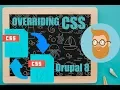 Overriding CSS files from our custom theme