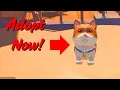 The Ultimate Guide to Pets and Monster Whisperer DLC for My Time At Sandrock