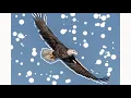 Eagle - GIF