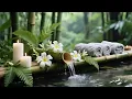 Deep Calm Spa Music Relax Your Body Mind Soul Tonight 88