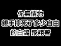 黃明志--(夜霧)動態歌詞版『多少個冤獄囚 多少次殺個片甲不留』