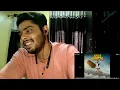 Kalesh  | Bali | Rebel 7 | Enzo | REACTION | ANASITIS