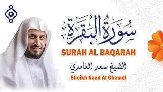 سورة البقرة كاملة بصوت خاشع يبعث الطمأنينة Surah Al Baqarah By Saad Al Ghamdi  سورة البقرة كاملة بصوت خاشع يبعث الطمأنينة Surah Al Baqarah By Saad Al Ghamdi