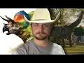 Which Dinosaurs had Feathers