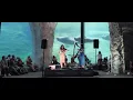 Download Lagu JenliSisters - Land of Legend \u0026 Celtic Electro  -  Estivales 2024 à Pairi Daiza