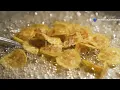 Cat chef s banana chips