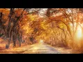 Vivaldi Four Seasons 10 Hours