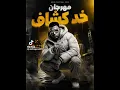 إسلام ‏كابونجا  خد كشاف 😎￼