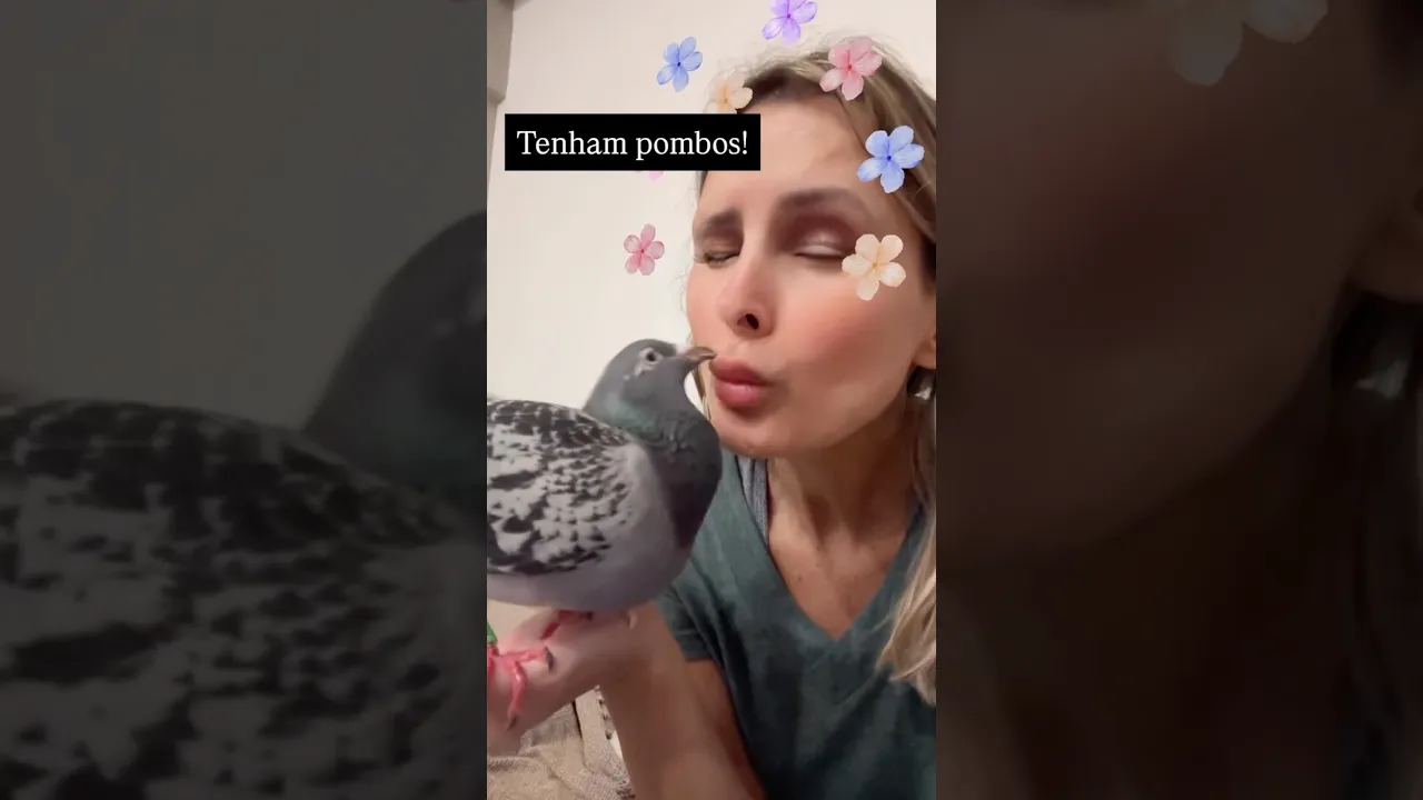Tenham pombos!