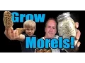 How to Grow Morel Mushrooms At HOME