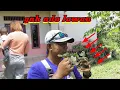 Panen Burung Gacor Dor Cuma Di Depan Rumah\