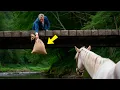 Download Lagu HOMEM RICO JOGA BEBÊS GÊMEOS DENTRO DO SACO NO RIO, MAS O CAVALO VIU TUDO E…