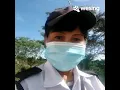 Download Lagu Rahsia Pohon Cemara