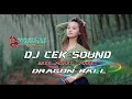 Download Lagu DJ CEK SOUND TERBARU || DJ DRAGON BALL FULL BASS | BY DAMPIT SQUAD