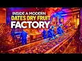Inside a Modern Dates Dry Fruit Factory Complete Harvest to Export Process