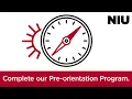 NIU Next Steps Complete your required Pre-Orientation Program