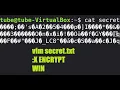 HOWTO Vim can encrypt your secret files