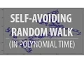 Self-Avoiding Random Walk