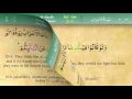 Download Lagu 033 Surah Al Ahzab with Tajweed by Mishary Al Afasy (iRecite)