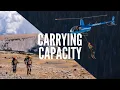 Carrying Capacity