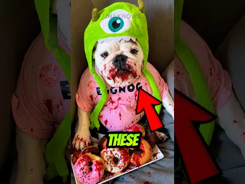 Top 3 Ugliest Dog Breeds in the World! 💀🐕 #Shorts