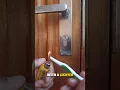 Download Lagu If your Broken Key stuck in the lock, Use this Trick 🤯