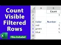 Count Visible Rows in a Filtered List in Excel - EQ 99