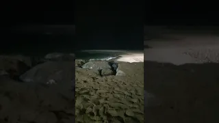 تأمل واسترخاء جلسة تأمل واسترخاء تأخدك لعالم آخر جلسة تامل واسترخاء خرافية جلسة تأمل واسترخاء 