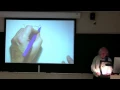 Problem Set 2 Solutions for Kevin Ahern s BB 450 Class