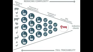BHJ Reducing Complexity