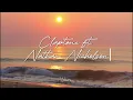 Claptone - Heartbeat ft. Nathan Nicholson (Subtitulado al Español)