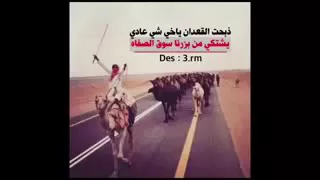 شيله ذبحه القعدان دندنها