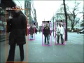 EUROPA2 Project Real time pedestrian detection