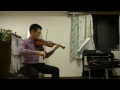 2nd Violin Berlioz Symphonie fantastique 4th mov