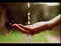 Raindrops (Shawn Davis Remix) - Stunt