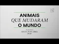 Download Lagu Chamada History2 - Maratona : Animais Que Mudaram O Mundo