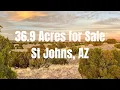 36 9 Acres for Sale in Saint Johns AZ