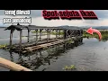Lagu TIDAK DISANGKA‼️ IKAN DiSINI BESAR2‼️SPOT SEJUTA IKAN‼️MANCING CIRATA TERBARU