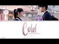 Download Lagu Cold (冷) - Sa Ji (萨吉)《Shining For One Thing OST》《一闪一闪亮星星》Lyrics