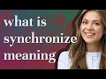 Synchronize meaning of Synchronize