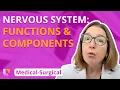 Nervous System Functions and Components - Medical-Surgical LevelUpRN