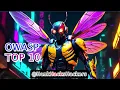 How to Hack Websites Using OWASP Top 10