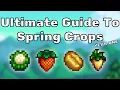 The Ultimate Spring Crops Guide - Year One
