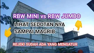gedung walet mini bersaing dengan gedung walet jumbo